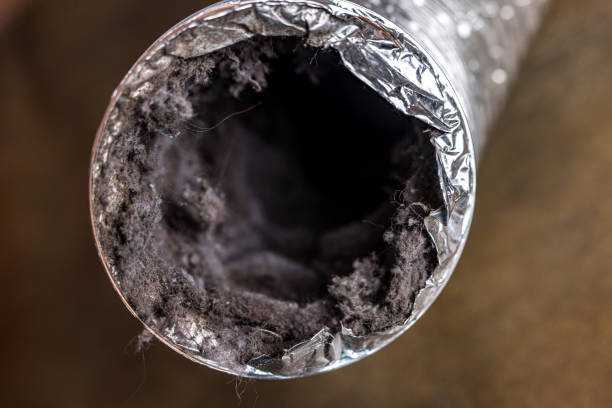 Best Affordable Air Duct Cleaning  in Rockwell City, IA