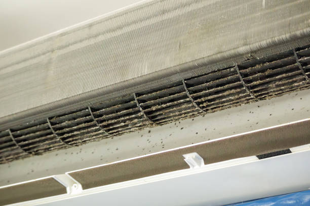 HVAC System Cleaning in Rockwell City, IA